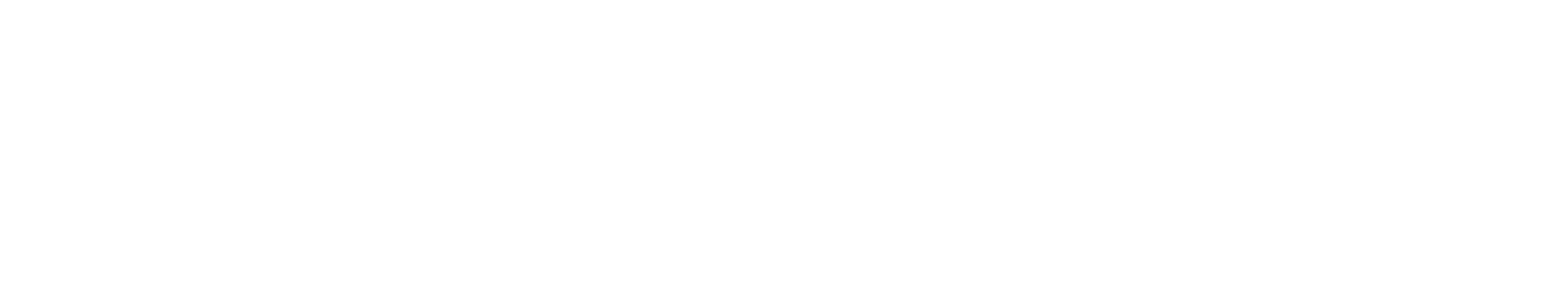 株式会社 アピス